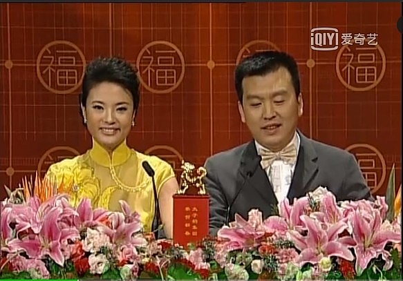 央视女主持刘芳菲和林依轮同框气质出众，曾被定为周涛接班人（组图） - 13