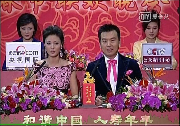 央视女主持刘芳菲和林依轮同框气质出众，曾被定为周涛接班人（组图） - 14