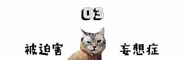 你对猫的能力一无所知，哈哈哈哈哈哈哈哈哈...（组图） - 9