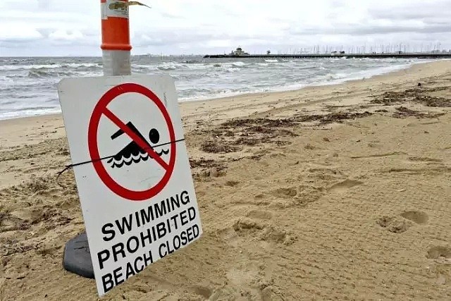 紧急通知！墨尔本Brighton海滩被严重污染，水中发现致命细菌，千万别下水 - 21