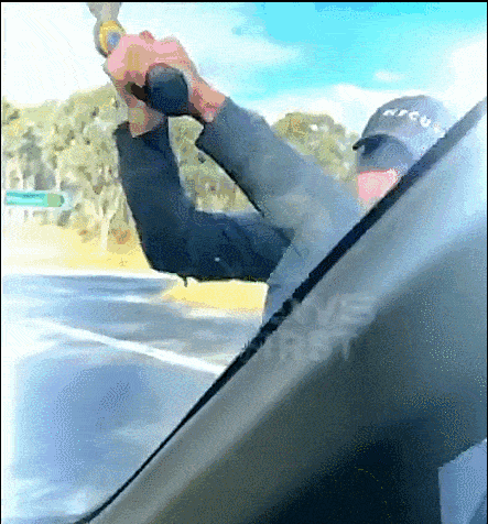 辣眼！悉尼女司机“路怒症”发作，露乳示威！网友：真是活久见（视频） - 19