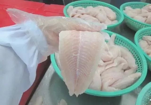 华人超市里卖的“龙利鱼” 实际到底是什么鱼？（组图） - 9