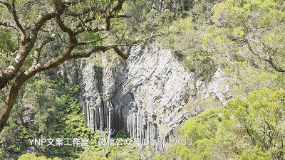 揭秘NSW的稀世奇观 || 亿万年风琴岩，星盘石阵，卡帕塔国家公园，攻略绝美的新英格兰高地！ - 45