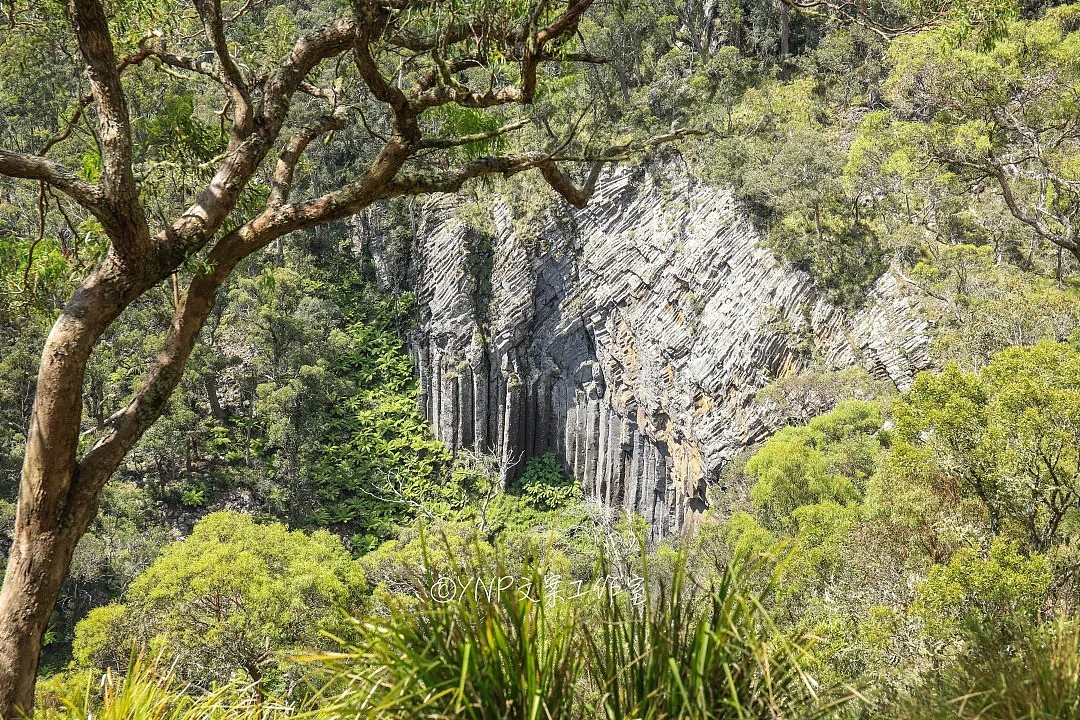 揭秘NSW的稀世奇观 || 亿万年风琴岩，星盘石阵，卡帕塔国家公园，攻略绝美的新英格兰高地！ - 49