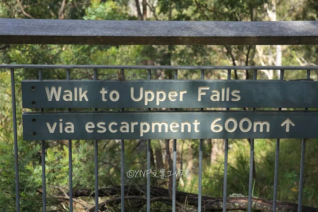揭秘NSW的稀世奇观 || 亿万年风琴岩，星盘石阵，卡帕塔国家公园，攻略绝美的新英格兰高地！ - 52