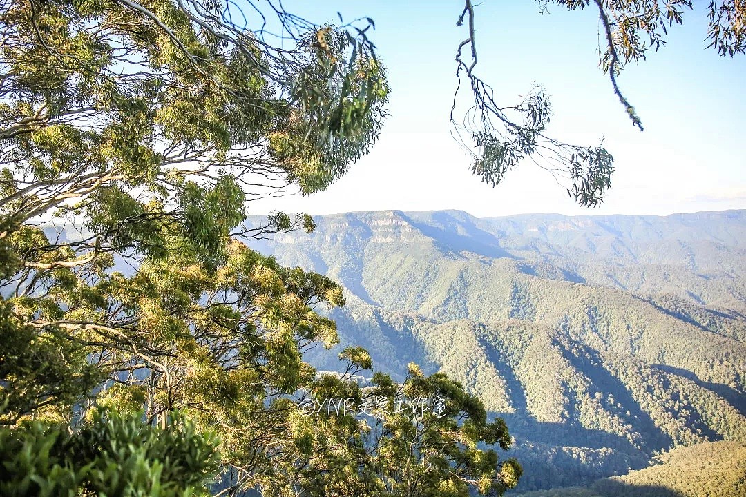 揭秘NSW的稀世奇观 || 亿万年风琴岩，星盘石阵，卡帕塔国家公园，攻略绝美的新英格兰高地！ - 59