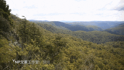 揭秘NSW的稀世奇观 || 亿万年风琴岩，星盘石阵，卡帕塔国家公园，攻略绝美的新英格兰高地！ - 65