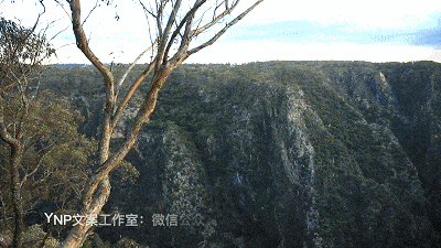 揭秘NSW的稀世奇观 || 亿万年风琴岩，星盘石阵，卡帕塔国家公园，攻略绝美的新英格兰高地！ - 67