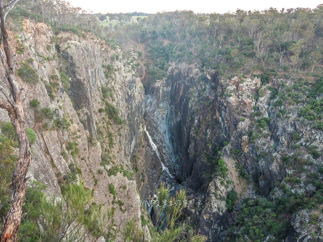 揭秘NSW的稀世奇观 || 亿万年风琴岩，星盘石阵，卡帕塔国家公园，攻略绝美的新英格兰高地！ - 78