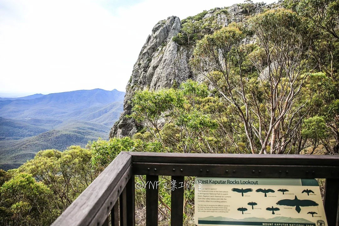 揭秘NSW的稀世奇观 || 亿万年风琴岩，星盘石阵，卡帕塔国家公园，攻略绝美的新英格兰高地！ - 94