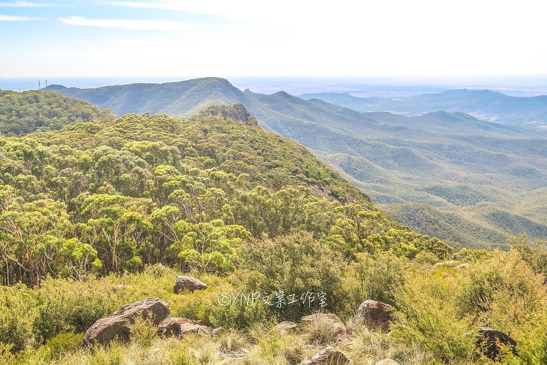 揭秘NSW的稀世奇观 || 亿万年风琴岩，星盘石阵，卡帕塔国家公园，攻略绝美的新英格兰高地！ - 100