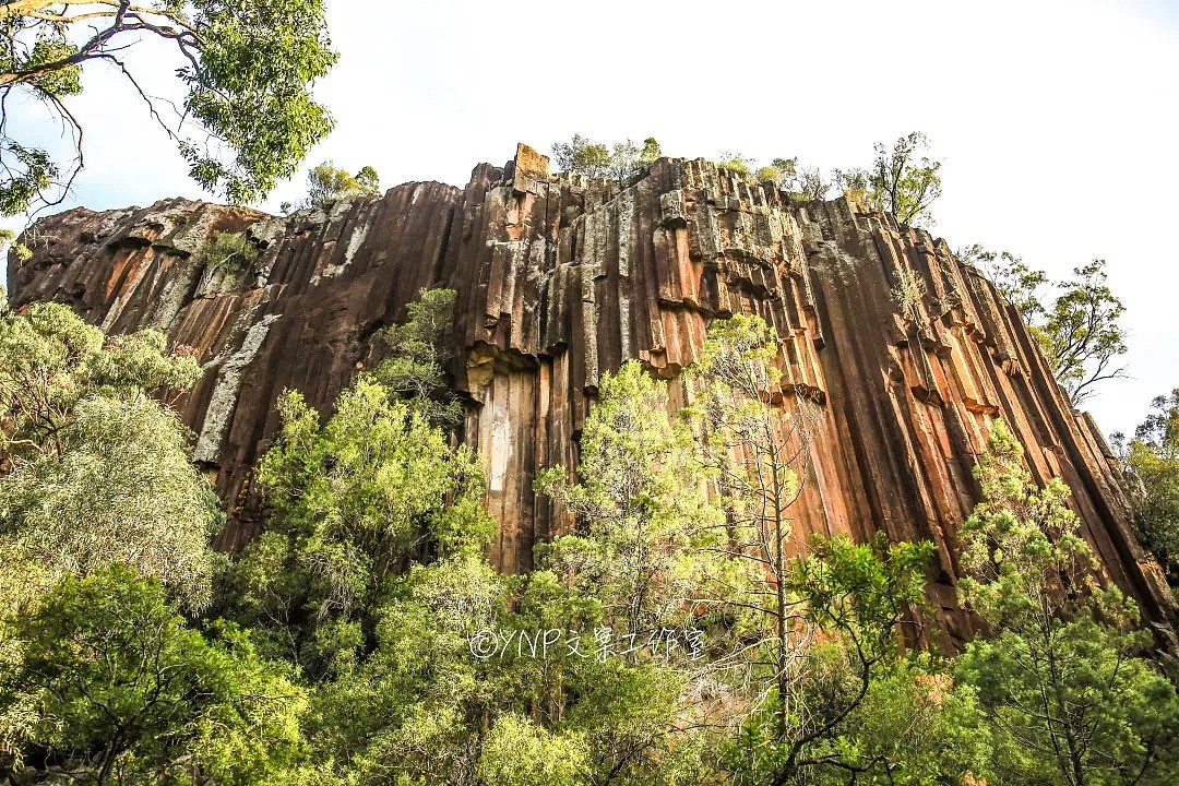 揭秘NSW的稀世奇观 || 亿万年风琴岩，星盘石阵，卡帕塔国家公园，攻略绝美的新英格兰高地！ - 105
