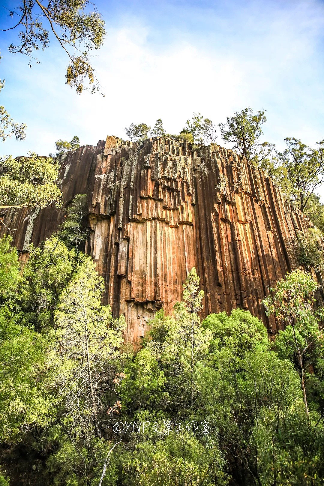 揭秘NSW的稀世奇观 || 亿万年风琴岩，星盘石阵，卡帕塔国家公园，攻略绝美的新英格兰高地！ - 108