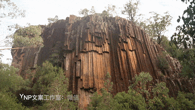揭秘NSW的稀世奇观 || 亿万年风琴岩，星盘石阵，卡帕塔国家公园，攻略绝美的新英格兰高地！ - 109