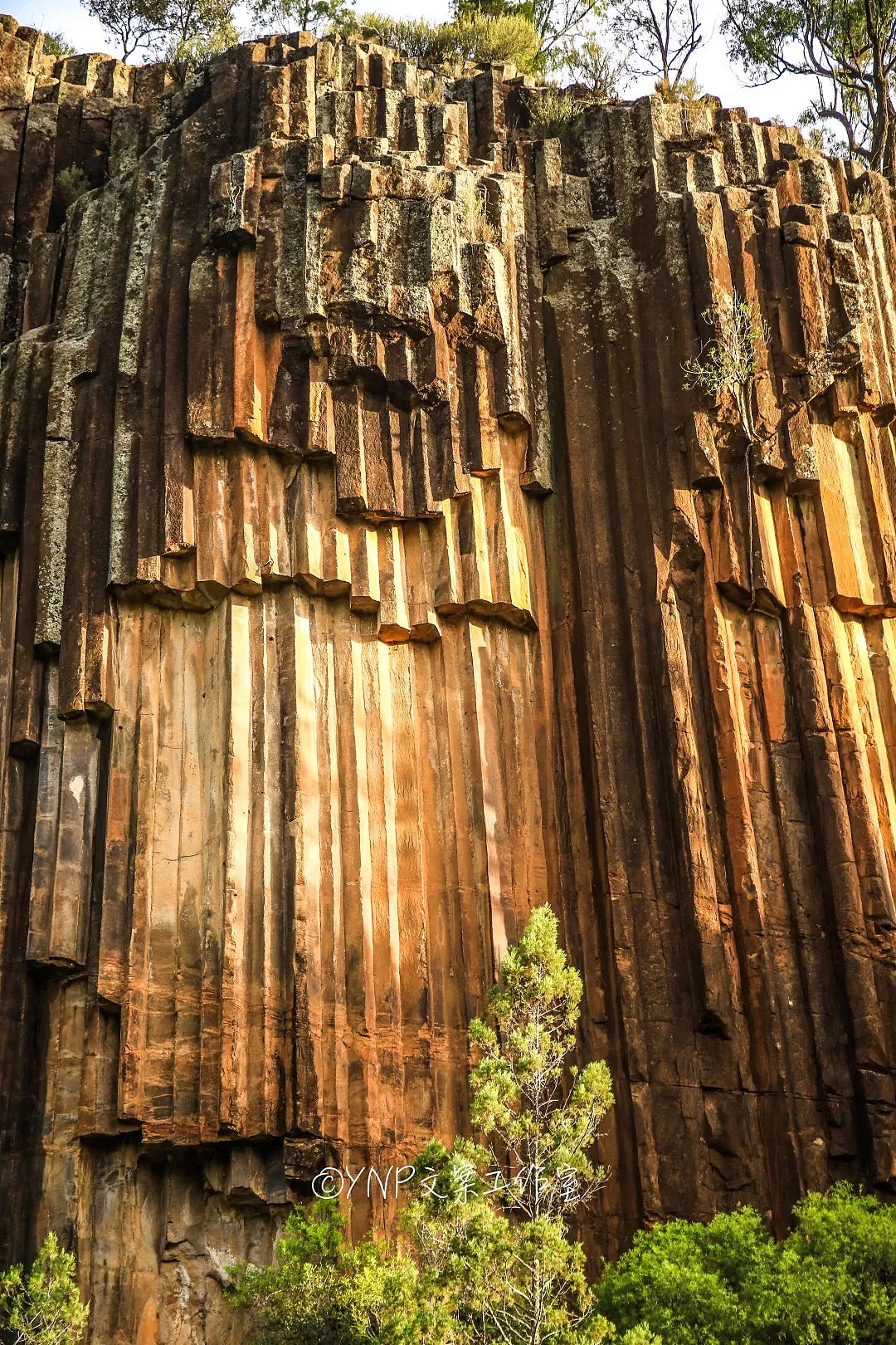 揭秘NSW的稀世奇观 || 亿万年风琴岩，星盘石阵，卡帕塔国家公园，攻略绝美的新英格兰高地！ - 110