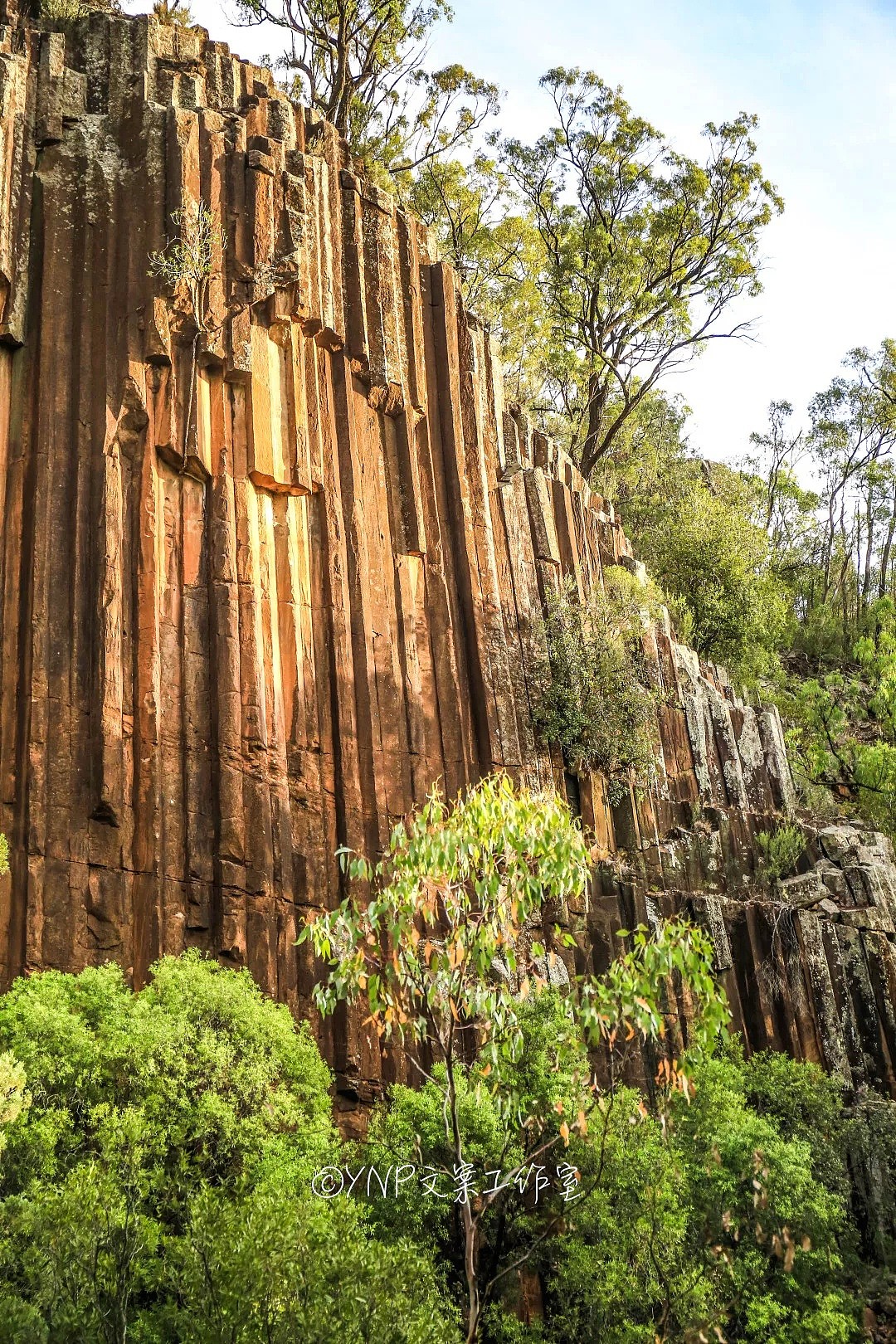 揭秘NSW的稀世奇观 || 亿万年风琴岩，星盘石阵，卡帕塔国家公园，攻略绝美的新英格兰高地！ - 111