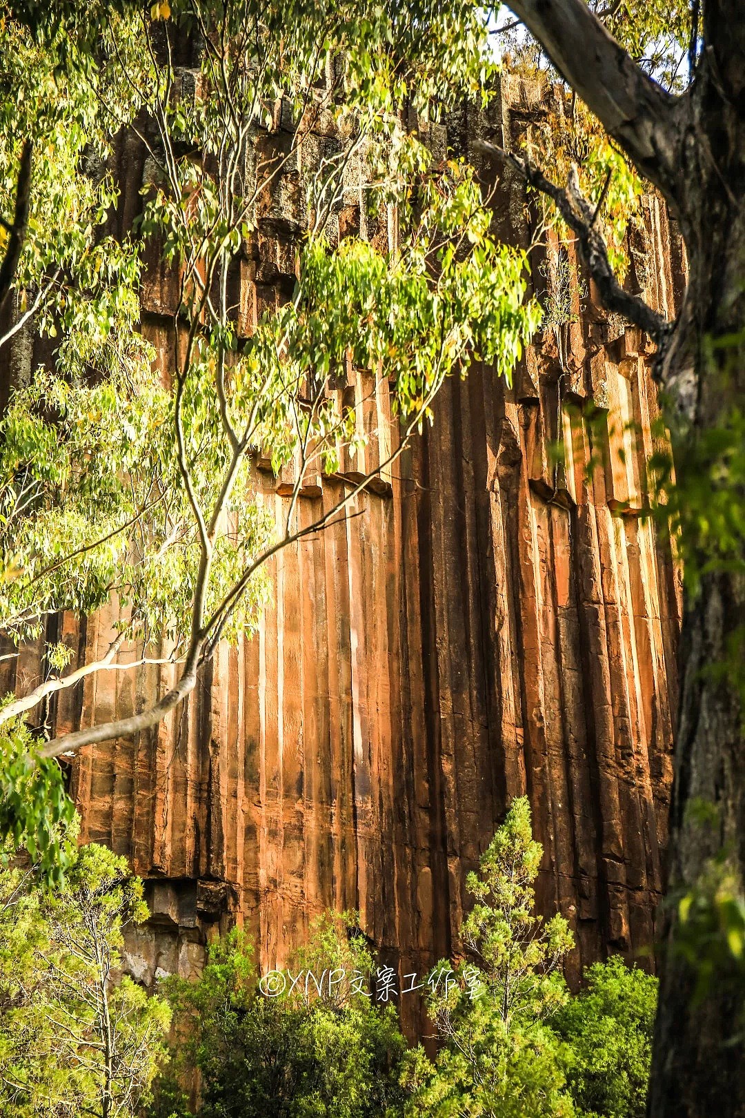 揭秘NSW的稀世奇观 || 亿万年风琴岩，星盘石阵，卡帕塔国家公园，攻略绝美的新英格兰高地！ - 113