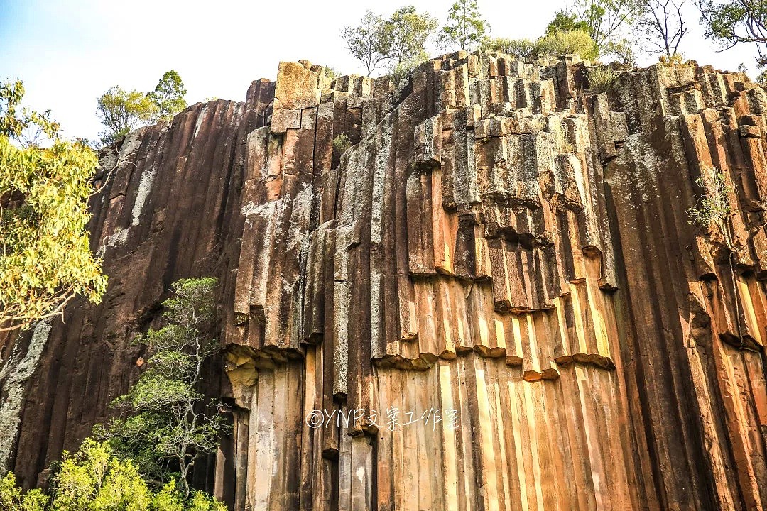 揭秘NSW的稀世奇观 || 亿万年风琴岩，星盘石阵，卡帕塔国家公园，攻略绝美的新英格兰高地！ - 114
