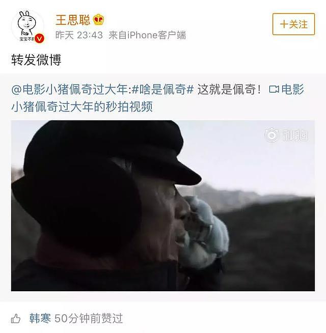 “啥是佩奇”一夜爆红，连王思聪韩寒都点赞！一年吸金70亿，佩奇走红套路曝光