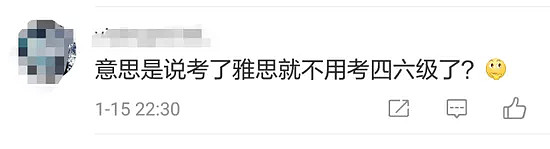 中国英语能力考试四、六级将对接雅思! 今后出国不用再考雅思了? - 3