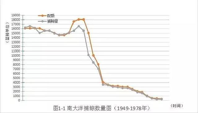 罕见退群！日本人为什么不顾反对肆意捕杀鲸鱼？（组图） - 3