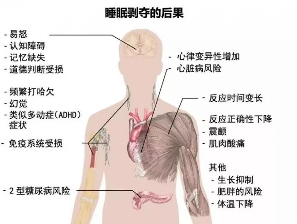 奇葩！厦门一大学生连续熬夜后竟长出“毛尾巴”！（图） - 4