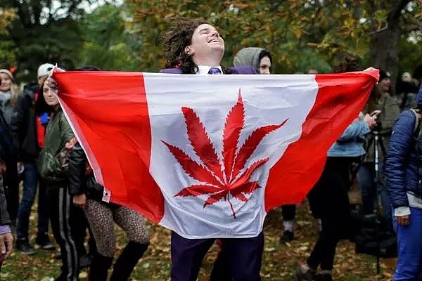 中领馆：在加拿大吸大麻等同于在中国吸毒！下飞机你会被按吸毒人员处理（图） - 1