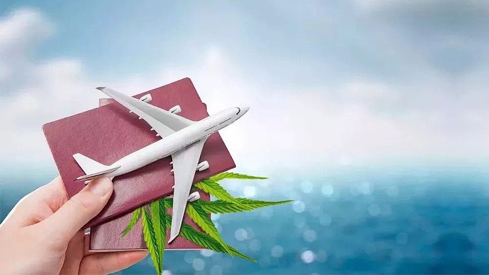 中领馆：在加拿大吸大麻等同于在中国吸毒！下飞机你会被按吸毒人员处理（图） - 5