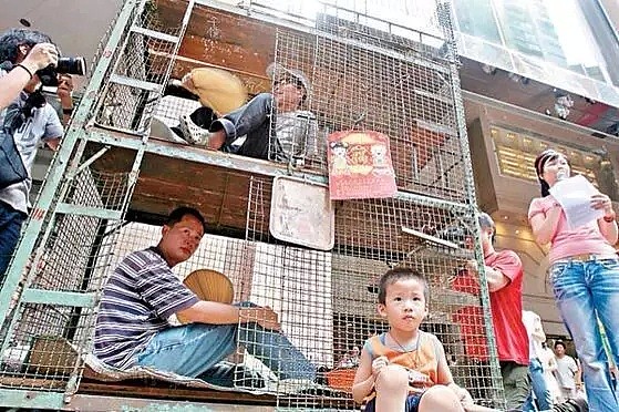 “有楼才会有高潮”为了能在香港拥有房子，这些女人的三观已扭曲！（组图） - 45