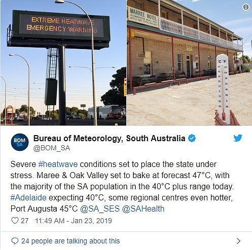 热爆了！本周末飙升至40度！全澳面临断电危机！百匹马活活热死…（图） - 25