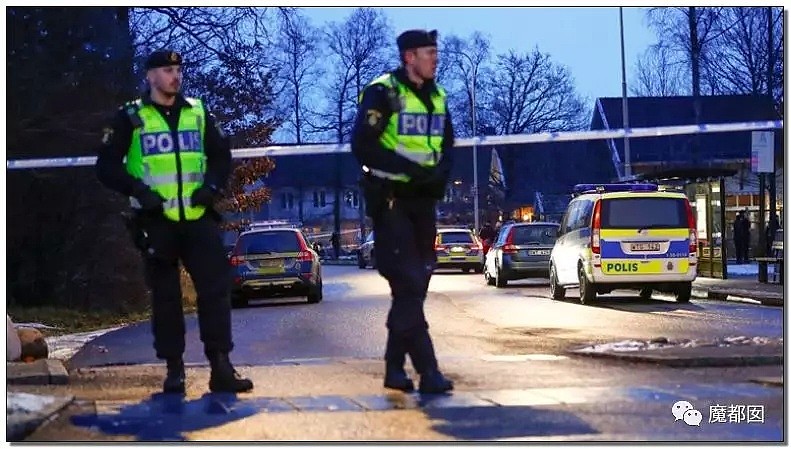 震撼全球！瑞典罕见婴儿拐卖案，2小时不计成本破案令人发抖（视频/组图） - 31