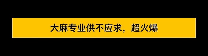 教你贩毒的美国大学出现了…纽约州立竟开设大麻种植销售专业（组图） - 6