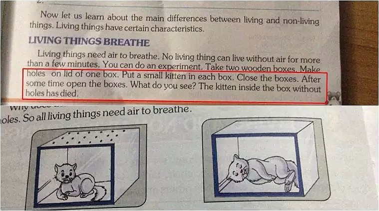 为说明空气重要性，印度教科书教孩子弄死……小猫（组图） - 1