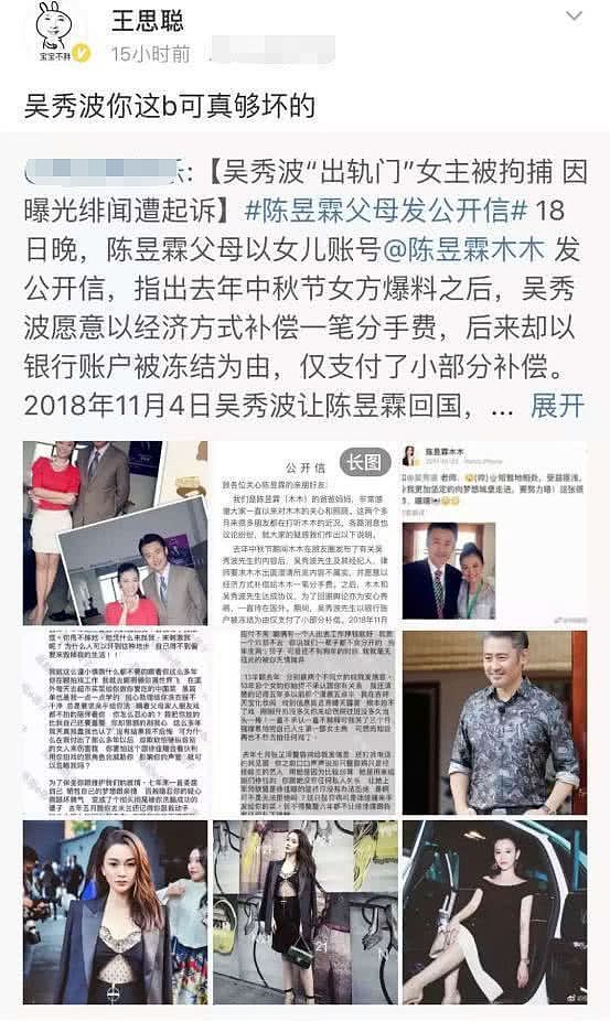 吴秀波为什么宁愿身败名裂也不愿把小三扶正？无外乎这三个原因！（组图） - 2