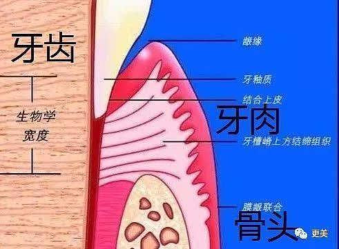 神仙姐姐？纯天然的刘亦菲也没有忍住，偷偷去整了这儿…（组图） - 26