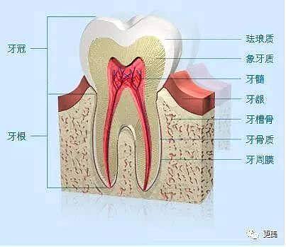 神仙姐姐？纯天然的刘亦菲也没有忍住，偷偷去整了这儿…（组图） - 30