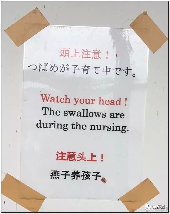 中文到底有多难？活活逼死日本人…笑死全世界（组图） - 37