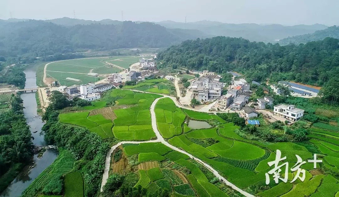 外汇纵横 | 打破十年节前走弱惯例！汇市提前送来新春“红包” - 4