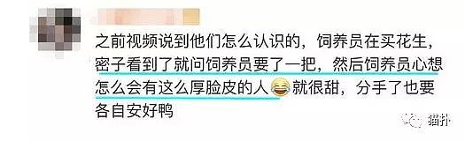 从整容、炒CP到叛逆少女逆袭……这个收入过亿的女网红又出事了？（组图） - 10