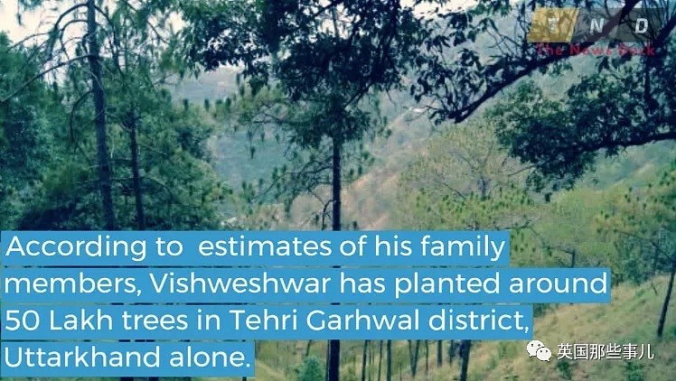 他为亡妻亲手种下一片500万棵树的森林，如今终于含笑而去（组图） - 12