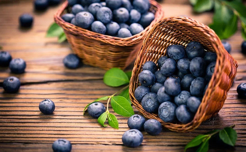 澳洲蓝莓“大收”，种植园主却有苦说不出 - 1