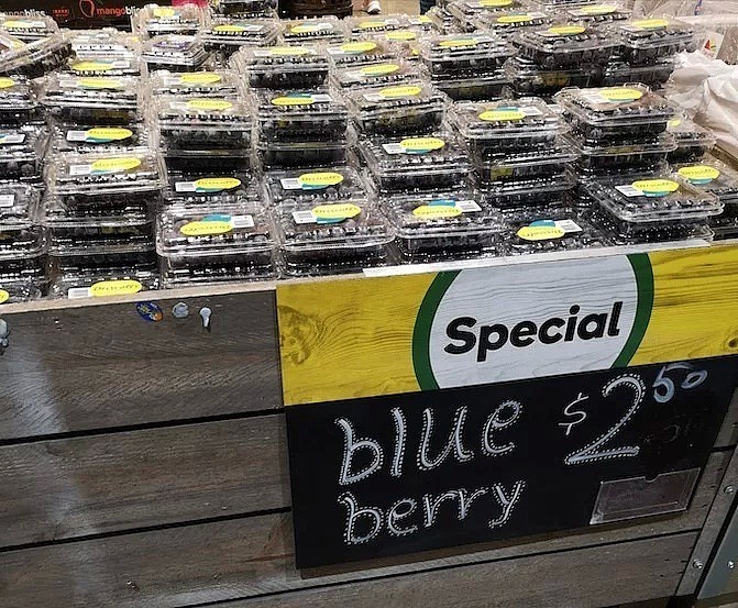 澳洲蓝莓“大收”，种植园主却有苦说不出 - 3