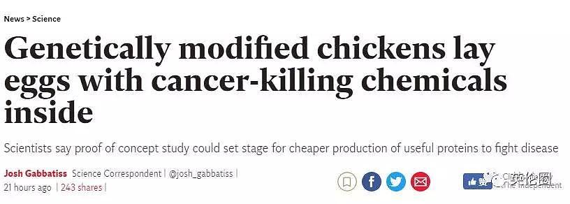 吃鸡都能治癌症了？转基因疗法，敢不敢吃还是个问题（组图） - 2