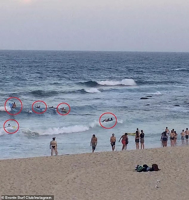 澳洲小哥海边目睹惊险瞬间，8人正被“生吞”！他疯了似的冲进大海（组图） - 6