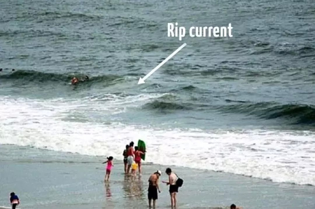 澳洲小哥海边目睹惊险瞬间，8人正被“生吞”！他疯了似的冲进大海（组图） - 15