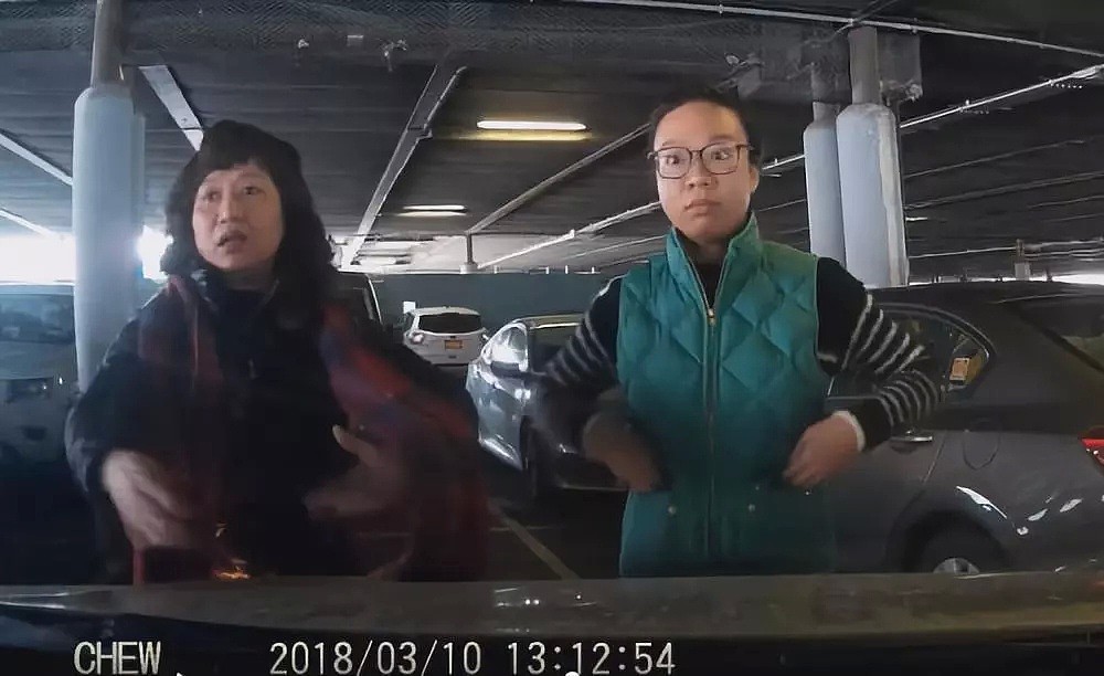 为了停车位，华人与白男大打出手！东北大妈怒斥：“把眼镜都打坏了”（视频/组图） - 9