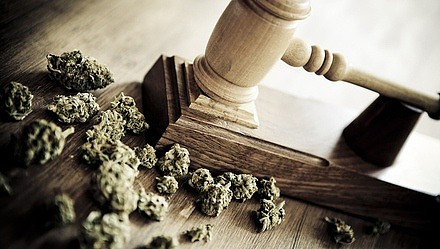加拿大男子在台湾种大麻被捕 辩称在加已合法（组图） - 1
