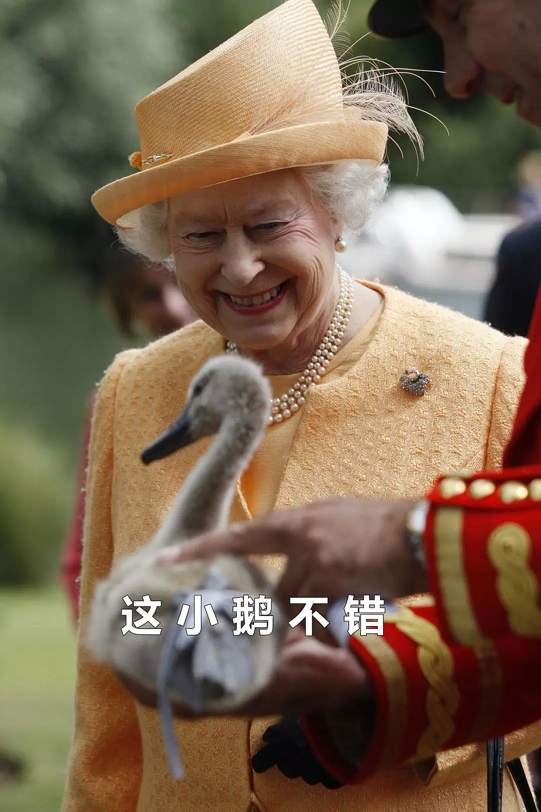 帮女王数天鹅，切肉，试穿新鞋…英国王室的奇葩工作真有人在做！（组图） - 13