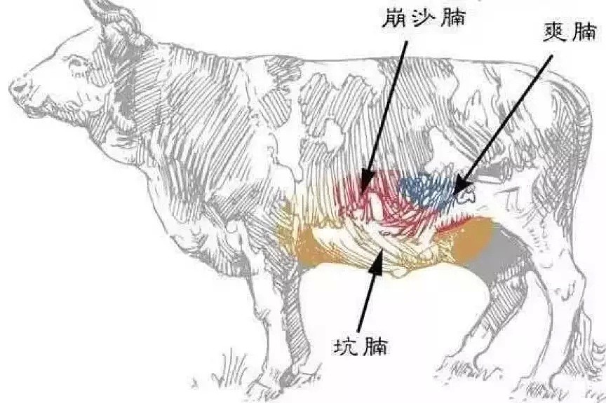 中国到底哪里的牛肉面最好吃？（组图） - 25