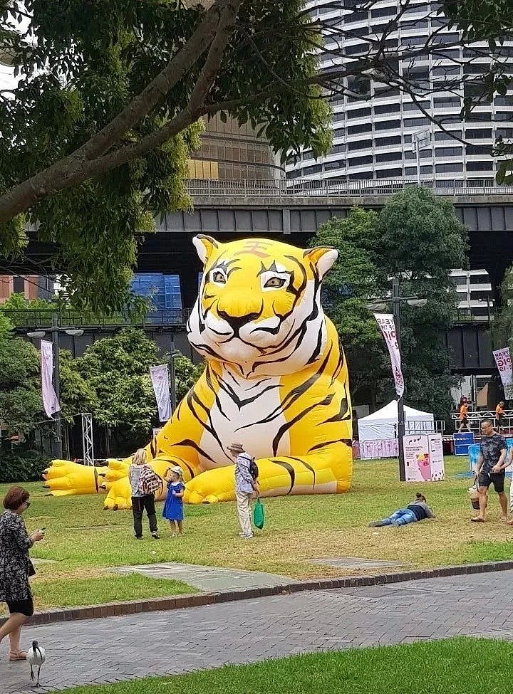 北上广成空城，澳洲却满满年味中国红！一树的猪爬上树，骚气的猪跳广场舞！ - 62